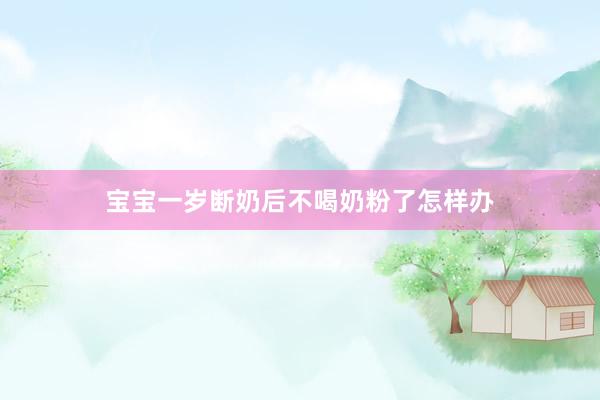 宝宝一岁断奶后不喝奶粉了怎样办
